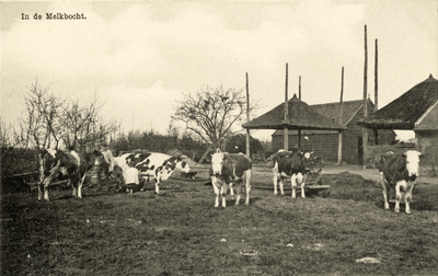 6875 Gezicht op de uitspanning Het Landbouwhuis (Dr. Welfferweg 102) te Achttienhoven: het erf bij de boerderij.N.B. De ...